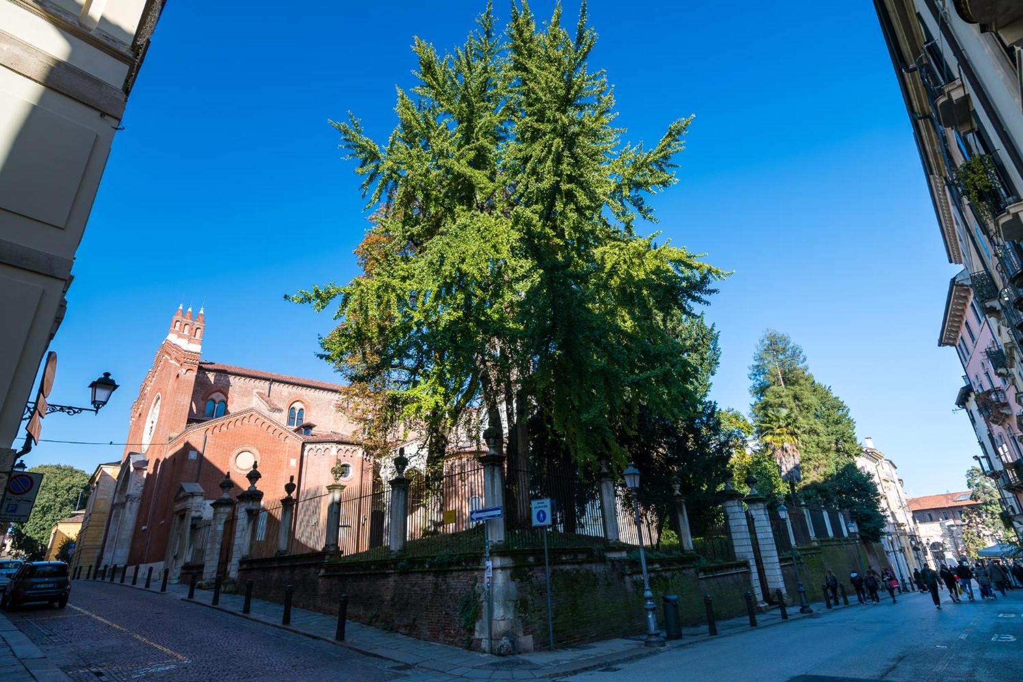 Residenza Corso Palladio 159 Vicenza Bagian luar foto
